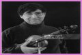 David Shapiro (musician)
