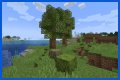 What is an Azalea Tree in Minecraft?