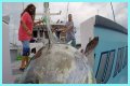 Who has the most expensive boat on Wicked Tuna?