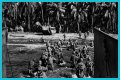 WWII's Most Daring Raids - Smithsonian Channel